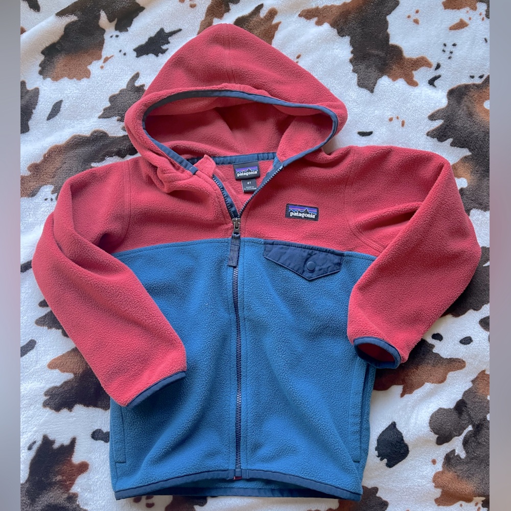 Toddler Patagonia Micro-D Fleece Jacket